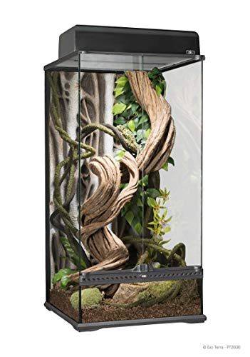 Exo terra Natürliches Terrarium für Reptilien/Amphibien 45 x 45 x 90 cm : Haustier