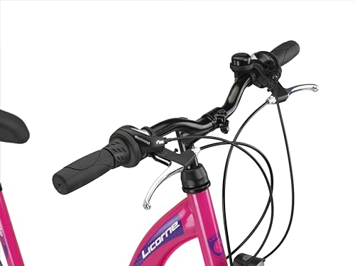 Licorne Bike Stella Premium City Bike in 20,24,26, 28 Zoll Fahrrad für Mädchen, Jungen, Herren und Damen 21 Gang Schaltung (6 Gang bei 20 Zoll) Hollandfahrrad Citybike